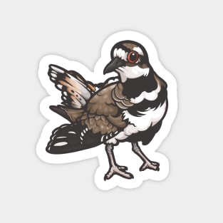 Killdeer Sticker